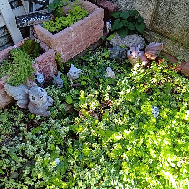 25Moondropsさんの実例写真