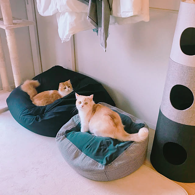 H.Tさんの実例写真