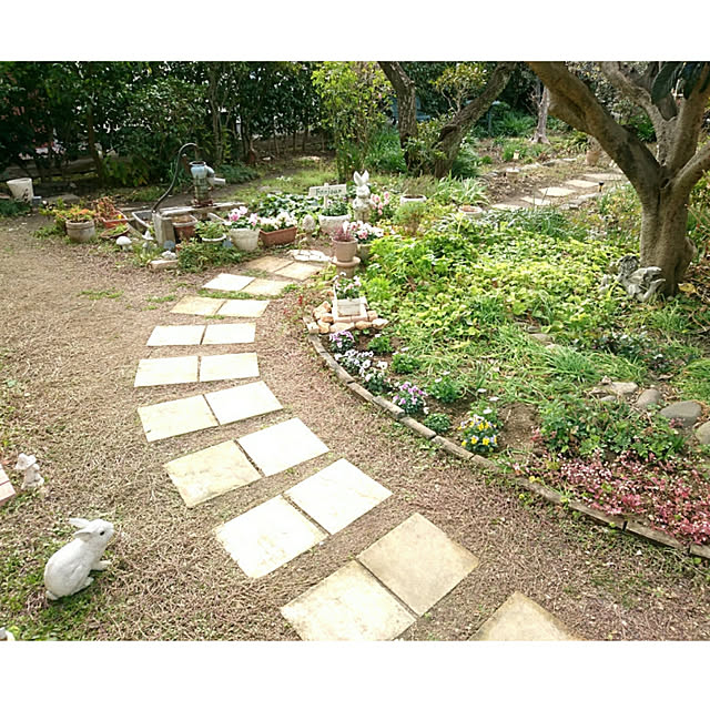 chururiさんの実例写真