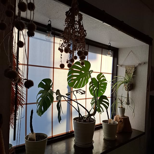 midoriさんの実例写真