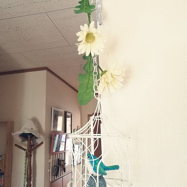 Mayumiさんの実例写真