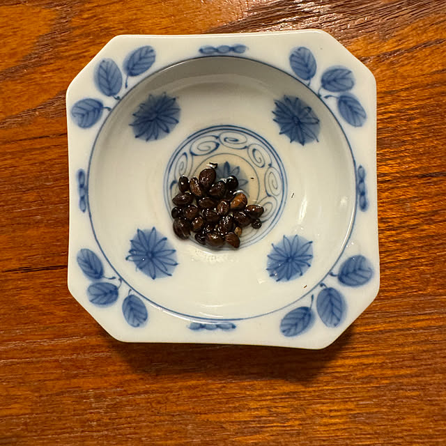 mamizaさんの部屋