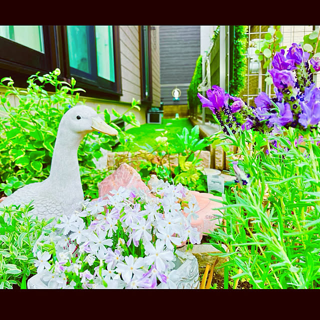 tinkunさんの実例写真