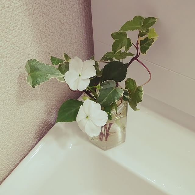 katuさんの実例写真