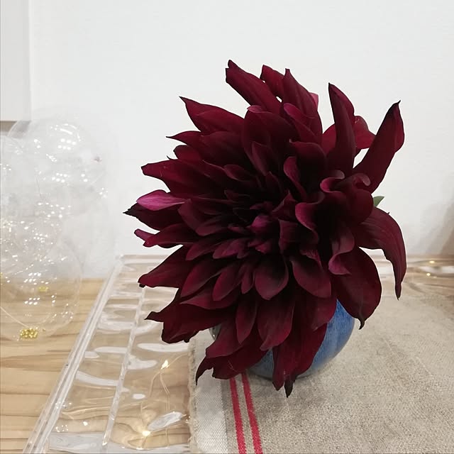 fumitanさんの部屋