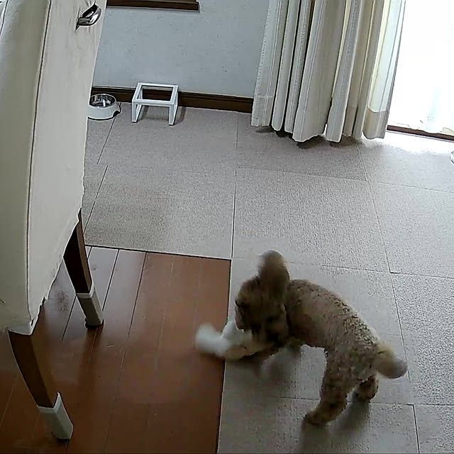 kawauso15さんの部屋