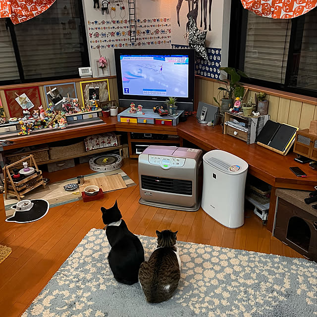 jijiさんの実例写真