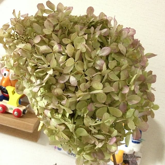 sskさんの実例写真