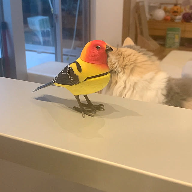 marikoさんの実例写真