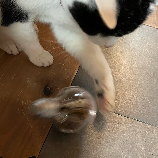 nekosamaさんの実例写真