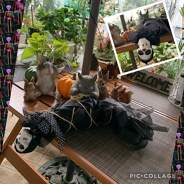 Aqettyさんの実例写真
