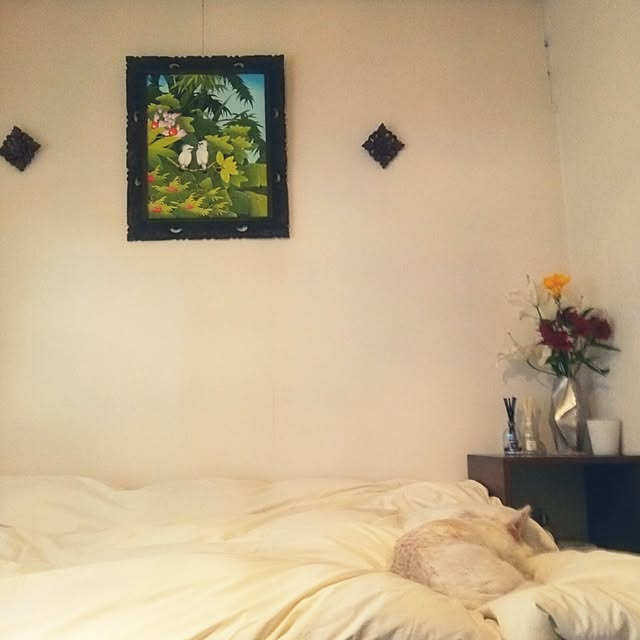 satokichiさんの実例写真
