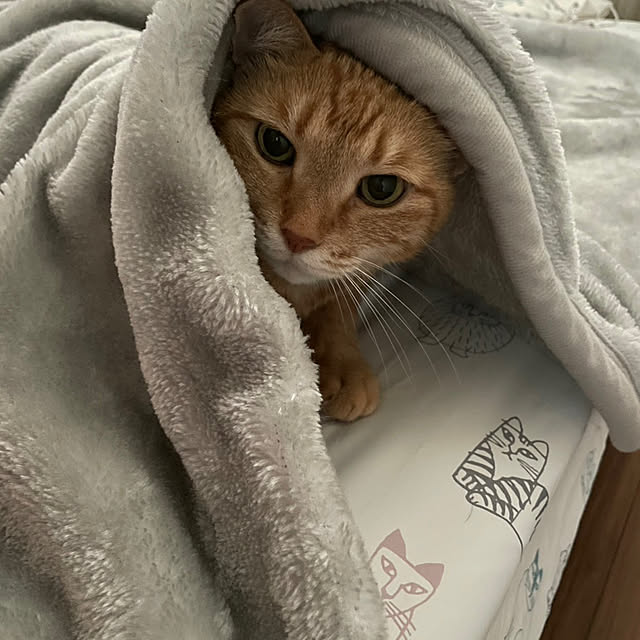 mikeume7さんの部屋
