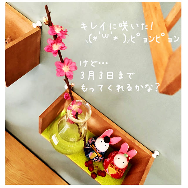 mo-nosukeさんの実例写真