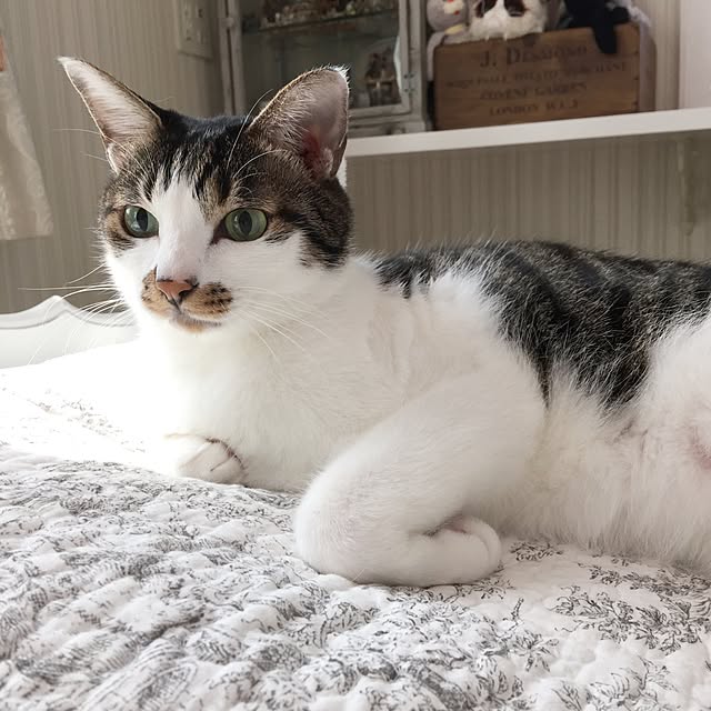 yuchiさんの実例写真