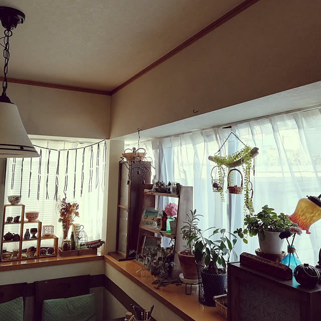 koikoiさんの実例写真