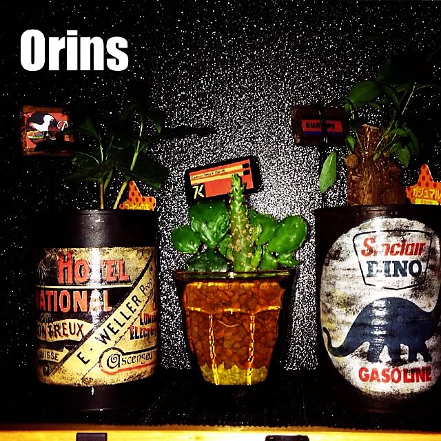 Orinsさんの実例写真