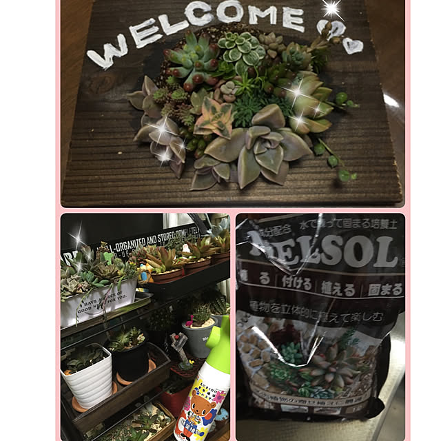 nanaさんの実例写真