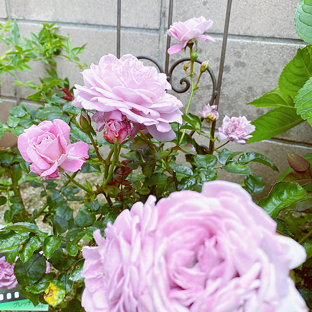 moolさんの部屋