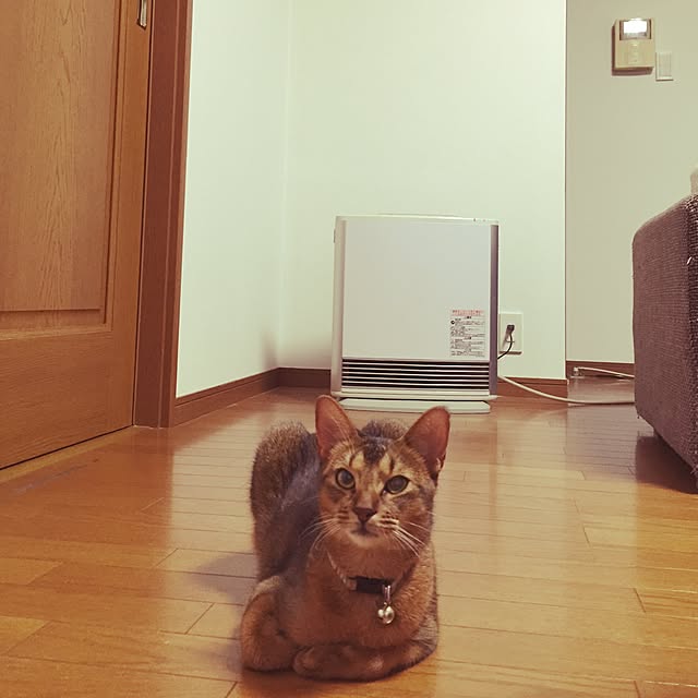 mm.factoryさんの実例写真