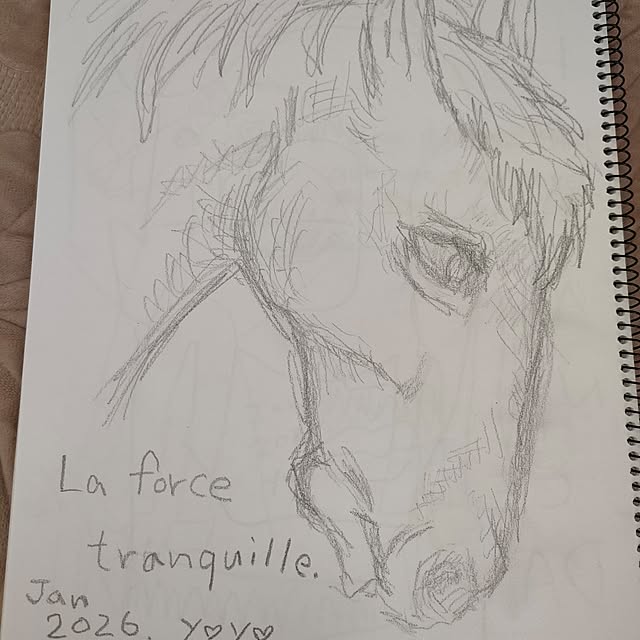 Yoko622さんの実例写真