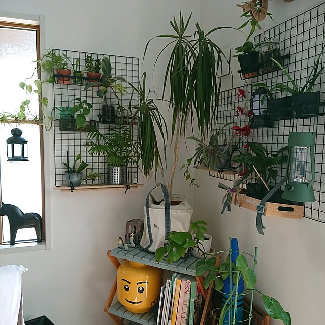urchinさんの部屋