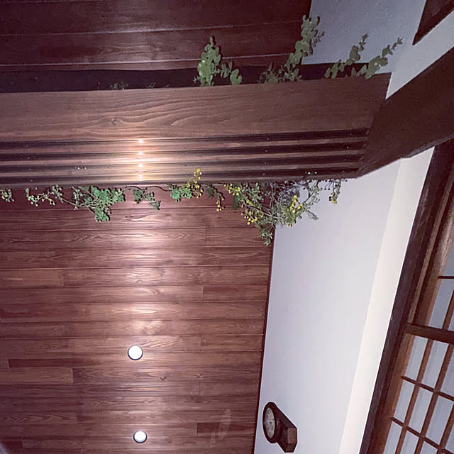 cotaさんの実例写真