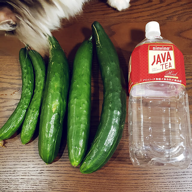 mofさんの実例写真