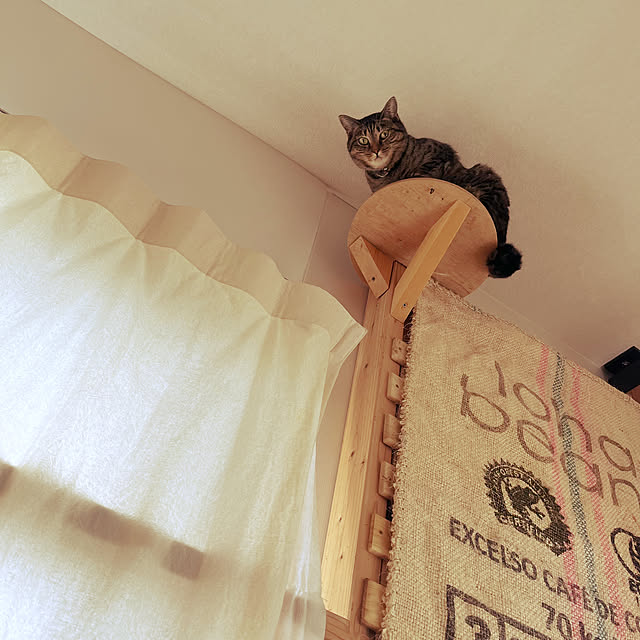 Mさんの部屋