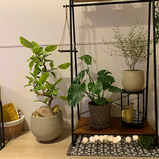 piman_tabetaiさんの部屋