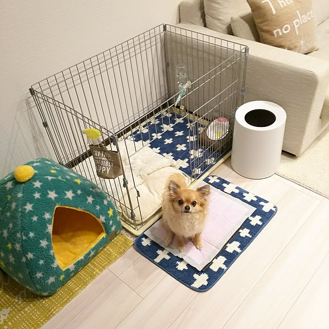 kojikojiさんの実例写真
