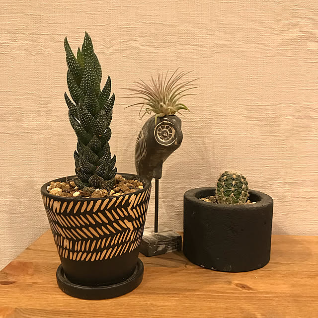 masahiiiroさんの実例写真