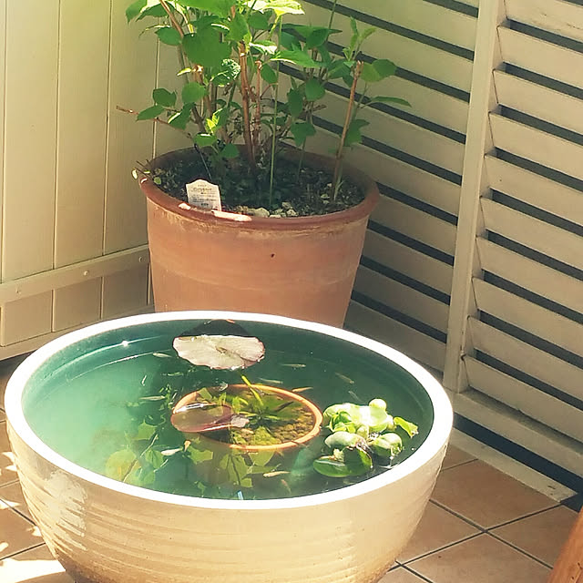 kuluchan.anchanさんの実例写真