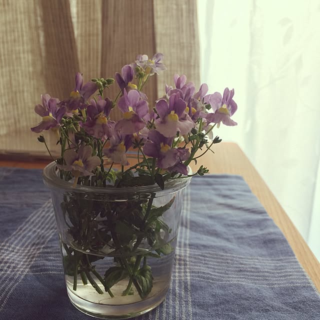 natucoさんの実例写真