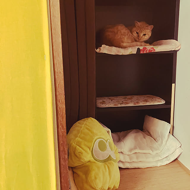 tomorinさんの部屋