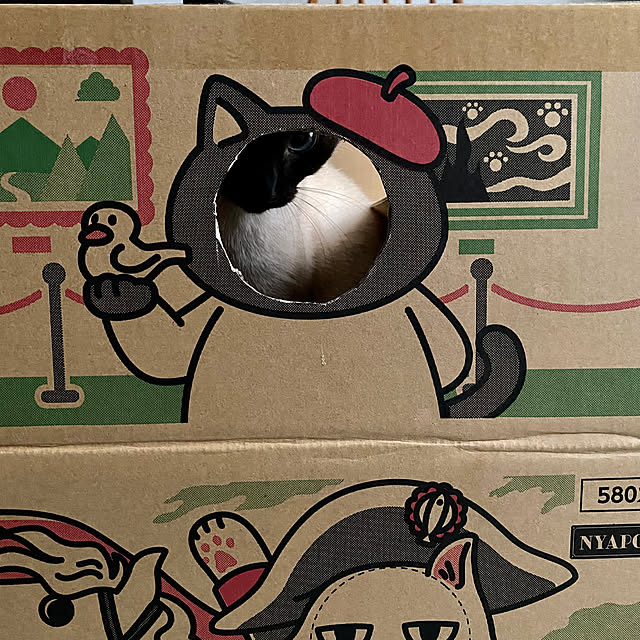 capelさんの部屋