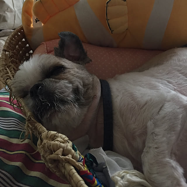 emiさんの実例写真