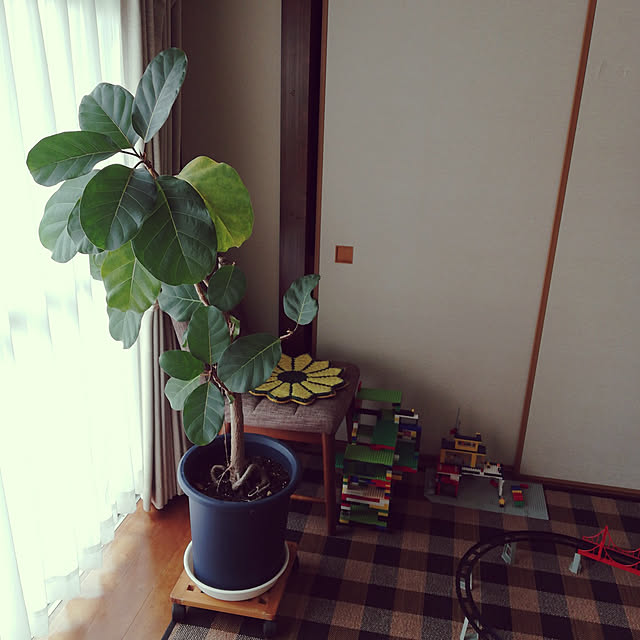 eskさんの実例写真