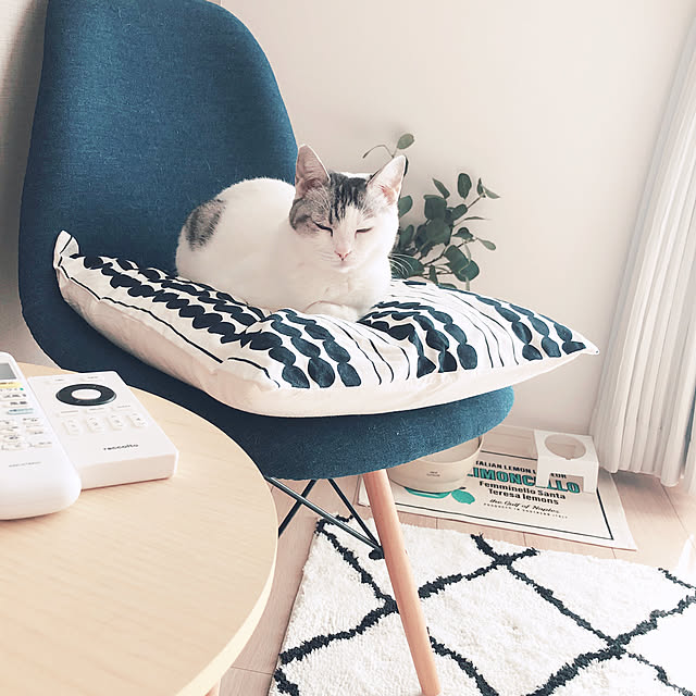 shiroi_noranecoさんの実例写真