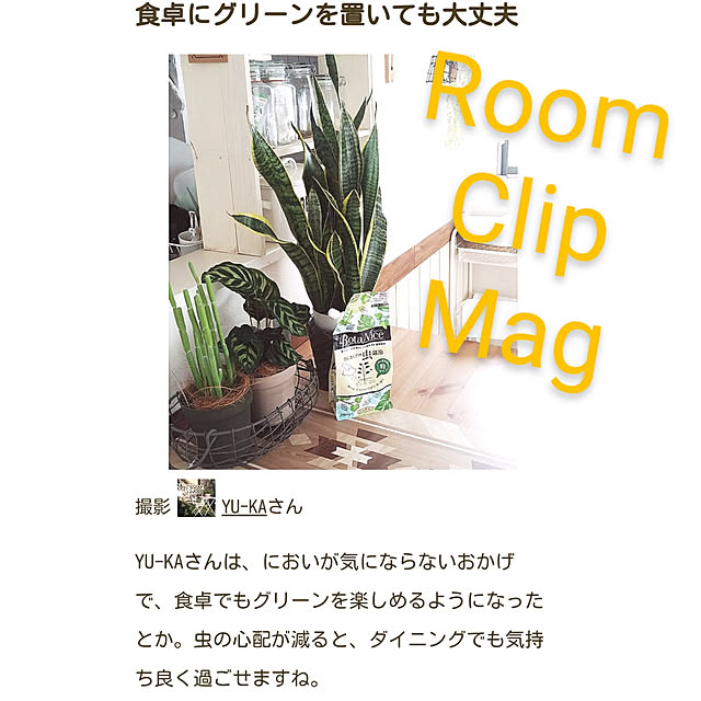 YU-KAさんの実例写真