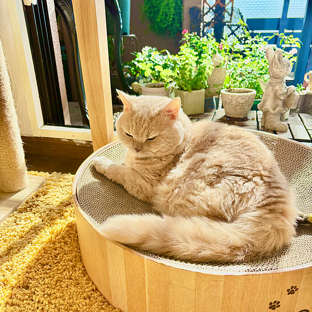 naokoさんの部屋