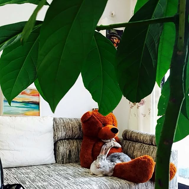 MARIさんの実例写真