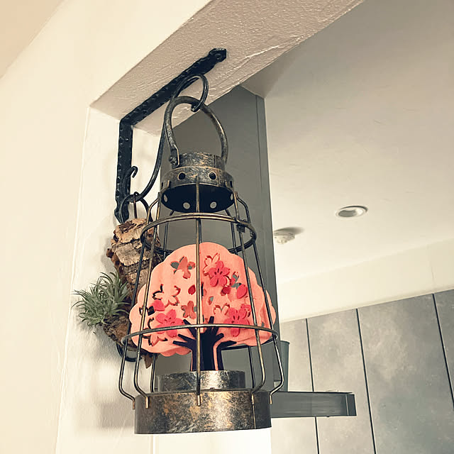 wahahaさんの実例写真