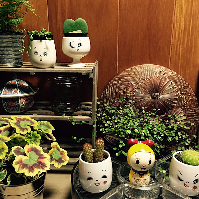 kopandaさんの実例写真