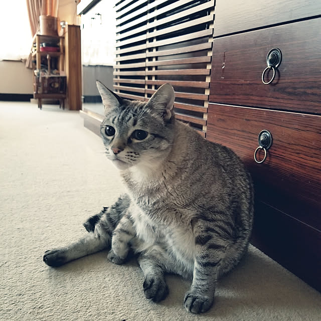 neoさんの実例写真