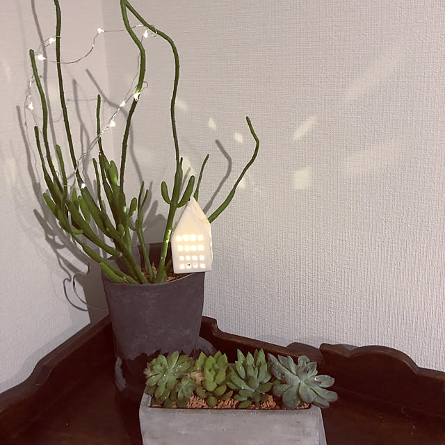 cooさんの実例写真