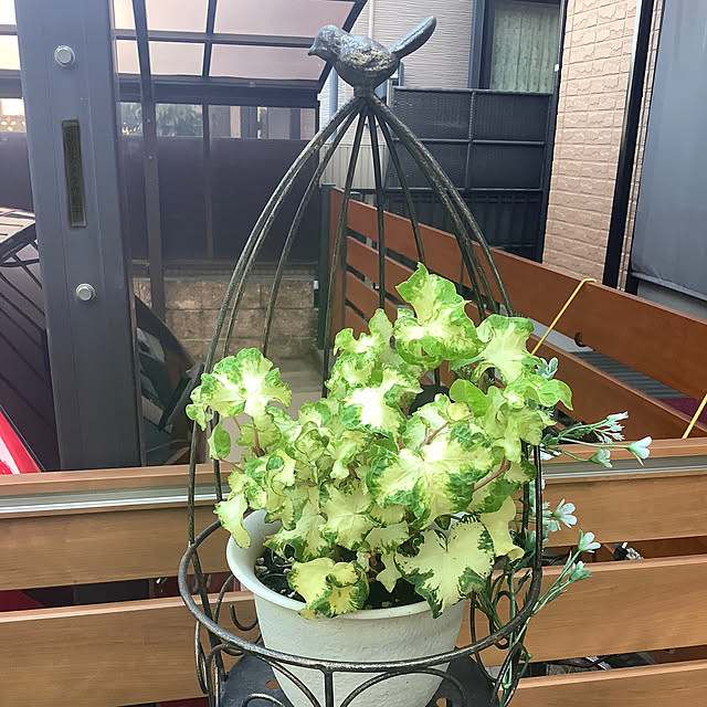 haruminさんの部屋
