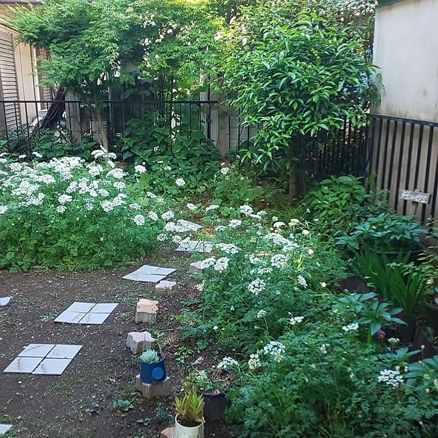 oseroさんの実例写真
