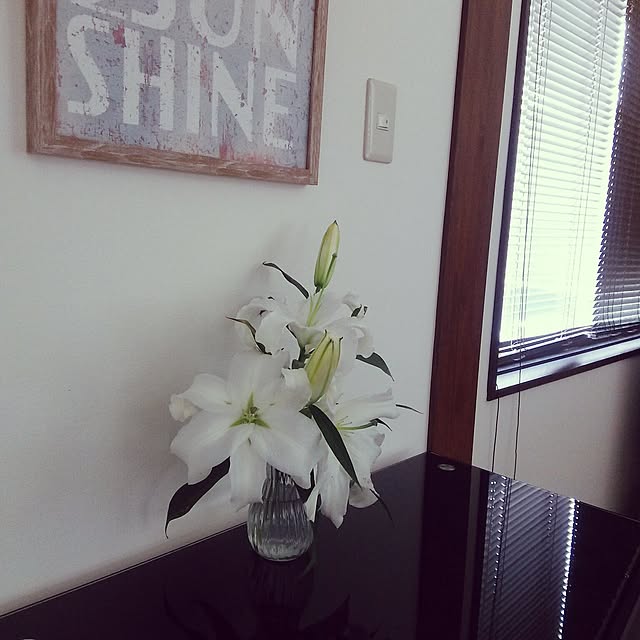 Junkoさんの実例写真