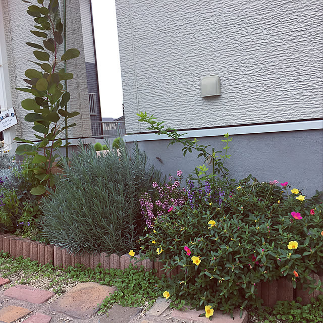 sa_yaさんの実例写真